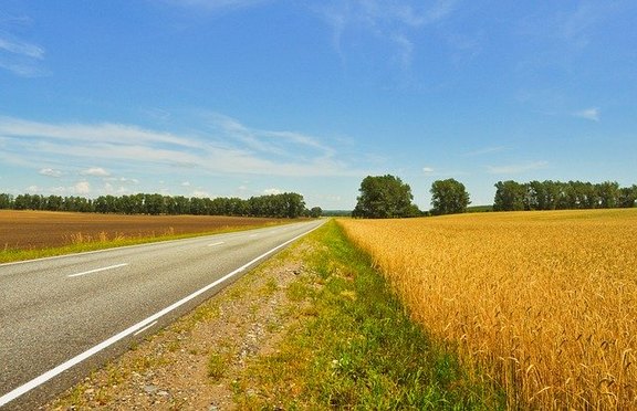 Zu sehen auf dem Bild ist nur eine Straße mit jeweils einem Feld links und rechts sowie einem großen grünen Knick durch den die Straße hindurch verläuft.